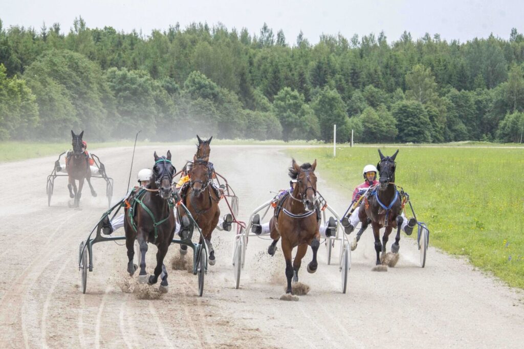 Perlas and Venus lead the trotting horse race